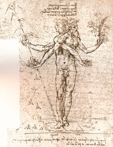 寓話的な構成の絵、c1472-c1519 1883 作： Leonardo da Vinci