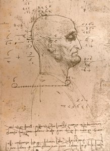 犯罪者の頭の絵、c1472-c1519 1883 作： Leonardo da Vinci