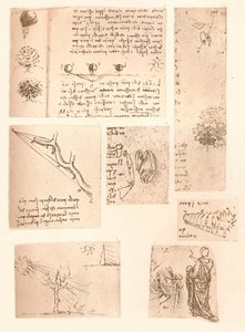 風景画の要素を示す5つの図、c1472-c1519 1883 作： Leonardo da Vinci