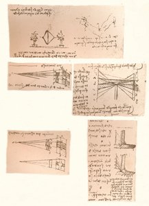 絵画の理論を説明する5つの図、c1472-c1519 1883 作： Leonardo da Vinci