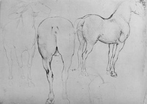 馬の4つのスケッチ、c1480 1945 作： Leonardo da Vinci