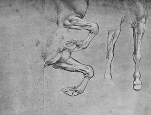 馬の脚の4つの研究、c1480 1945 作： Leonardo da Vinci