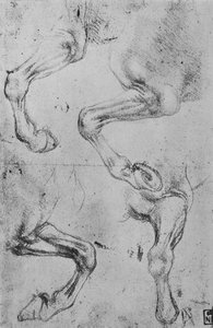 馬の脚の4つの研究、c1480 1945