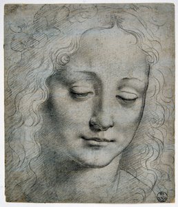 ジョヴァンニ・アントニオ・ボルトラフィオ（ベルトラフィオ）（1467 - 1516）（レオナルド・デ・ヴィンチの最も有名な弟子）：ヴェロッキオの方法で葉の冠を被った少年の頭部、GDSU 425 E 作： Leonardo da Vinci