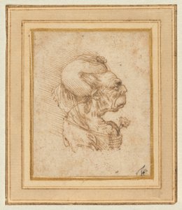 老女のグロテスクな頭部 作： Leonardo da Vinci