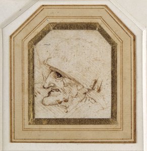 グロテスクな頭部（紙にペンとインク 作： Leonardo da Vinci