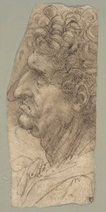  作： Leonardo da Vinci