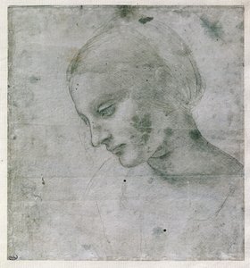 若い女性の頭または聖母の頭、c.1490（紙にシルバーポイント）