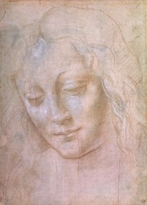 女性の頭（ガッシュで金属の先端を高くしたもの） 作： Leonardo da Vinci