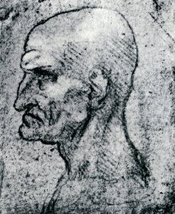 老人の頭、1913 作： Leonardo da Vinci