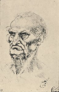 左の四分の三老人の頭、c1480 1945 作： Leonardo da Vinci