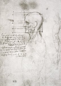 横顔の老人の頭、ファクシミリコピー（紙にペンとインク） 作： Leonardo da Vinci