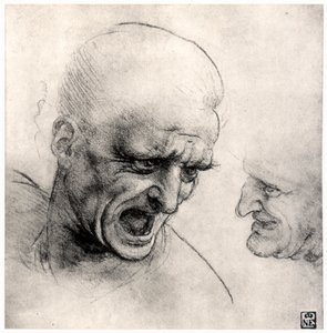 戦士の長、1503-1505 作： Leonardo da Vinci