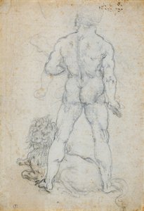 ヘラクレスとネメアのライオンc。 1506-08（白い紙に木炭と金属の先端） 作： Leonardo da Vinci