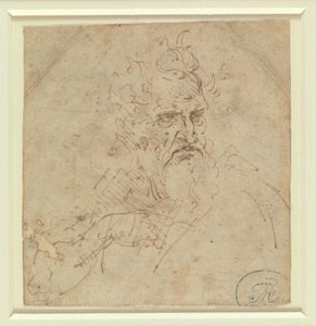  作： Leonardo da Vinci