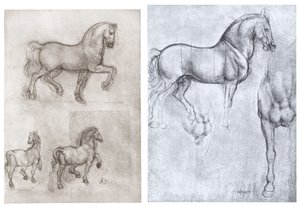 馬、c1490-1510 作： Leonardo da Vinci
