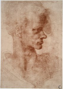 レオナルド・ダ・ヴィンチ（1452 - 1519）：青年の風刺画肖像（イマジン 作： Leonardo da Vinci