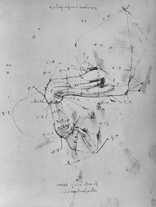 馬の前足に近い部分の測定図、c1480 1945 作： Leonardo da Vinci