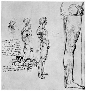 アンギアリの戦いのためのヌード研究、c1503-1505 1954 作： Leonardo da Vinci