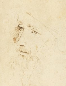 レオナルド・ダ・ヴィンチの肖像、1518年頃。 作： Leonardo da Vinci,