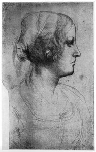 15世紀の少女の頭の肖像画、1954年。 作： Leonardo da Vinci