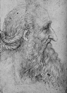 右のひげを生やした老人のプロファイル、c1480 1945 作： Leonardo da Vinci