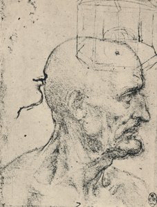 ハゲ男の右のプロフィール、c1480 1945 作： Leonardo da Vinci