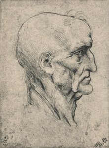 年配のハゲ男の右側のプロフィール、c1480 1945