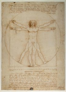 ヴィトルビウスによる人間像の比例スキーム 作： Leonardo da Vinci
