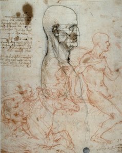 人間の頭と乗馬の研究の比例スキーム 作： Leonardo da Vinci