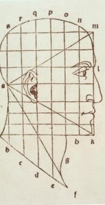 人間の頭の比例研究 作： Leonardo da Vinci