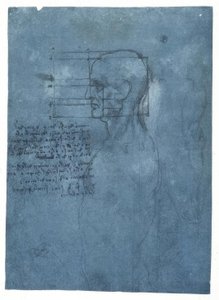 横向きの男性の頭部の比率研究 作： Leonardo da Vinci