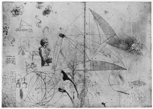 研究シート、1954年後半または16世紀初頭。 作： Leonardo da Vinci