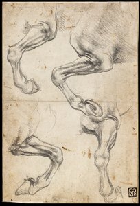 馬の脚の研究 作： レオナルド・ダ・ヴィンチ