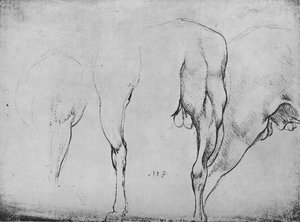 馬の脚の研究、c1480 1945 作： Leonardo da Vinci
