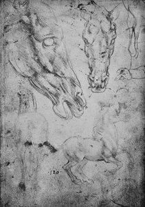 馬と馬の頭の研究、c1480 1945