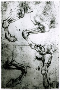 馬の足の研究（紙にペンとインク）