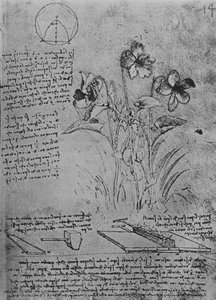 ビオラと鉛の屋根をはんだ付けする方法の研究、c1480 1945 作： Leonardo da Vinci