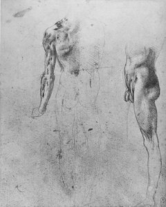 背面と側面から見たヌード男の研究、c1480 1945 作： Leonardo da Vinci