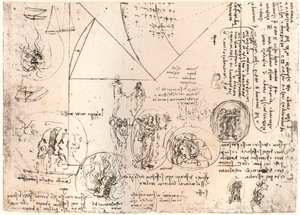 エンブレムの研究、c1472-c1519 1883 作： Leonardo da Vinci