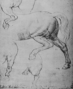 馬の後肢と後肢の研究、c1480 1945 作： Leonardo da Vinci