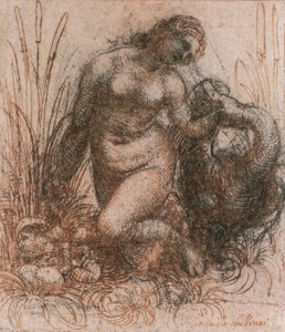 レオナルド・ダ・ヴィンチ（1452-1519）の「レダと白鳥」の習作、ドローイング 作： Leonardo da Vinci