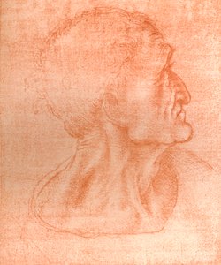 「最後の晩餐」、c1494-c1499 1883におけるユダの首の研究。 作： Leonardo da Vinci