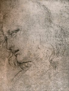 「最後の晩餐」で聖フィリップの首のために研究、c1494-c1499 1883。 作： Leonardo da Vinci