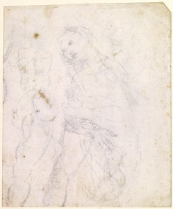 マドンナの習作 [裏面] 作： Leonardo da Vinci