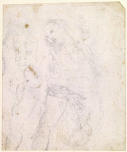  作： Leonardo da Vinci