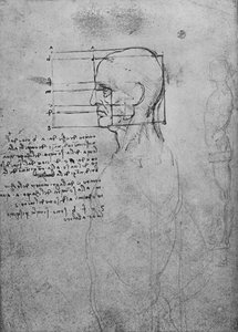 比率のために二乗した頭、マンヌードトルソの研究、c1480 1945 作： Leonardo da Vinci
