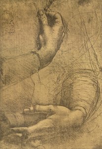 女性の手の研究、c1472-c1519 1883 作： Leonardo da Vinci
