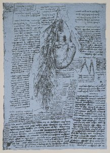 心臓と気管支動脈、ウィンザーの本の複製（紙にペンとインク） 作： Leonardo da Vinci