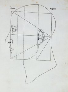 人間の頭、ルカパチョーリ作「Divina Proportione」のイラスト（1445-1517）、1509 作： Leonardo da Vinci